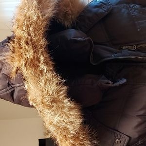 Women Coat: WaterFowl (40%) & Down Feather (60%) -Coyote Removable Hood: MARC NY